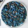Traveller's, Palm Seed thumbnail number null
